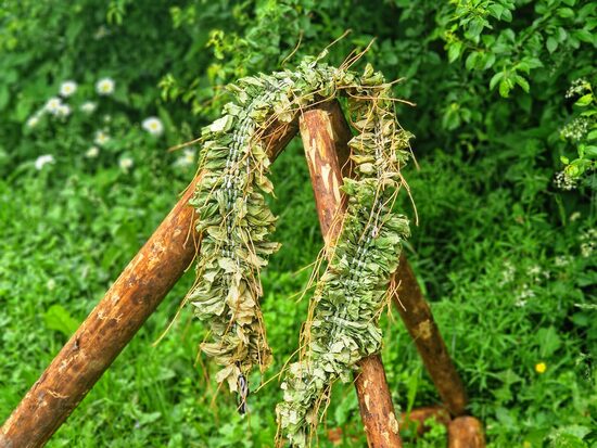 Austa kļavu lapu virtene