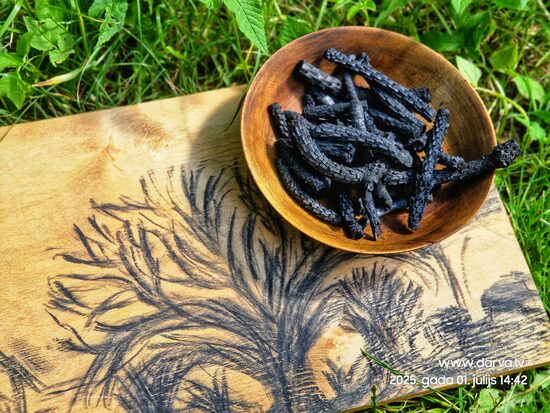 Darvota Bērza bļodiņa ar ogles zīmuļiem 