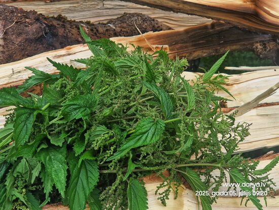 Nātru lapu un ziedu tēja 100g