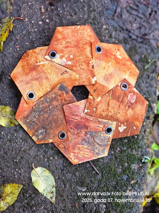 Bērza tāšu paliknis